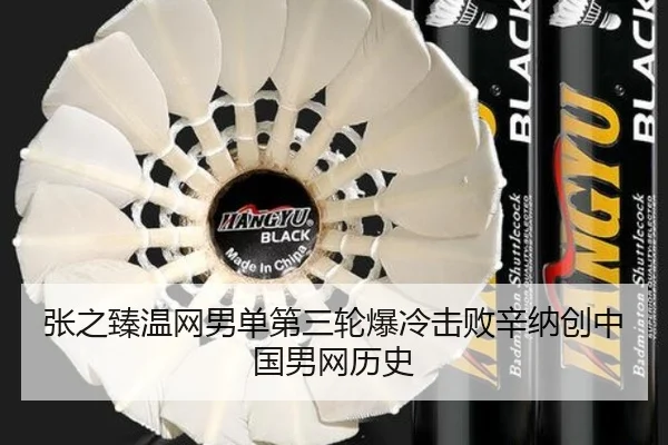 张之臻温网男单第三轮爆冷击败辛纳创中国男网历史